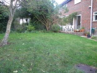 Garden 2