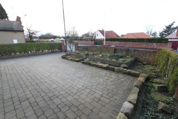 Back Garden