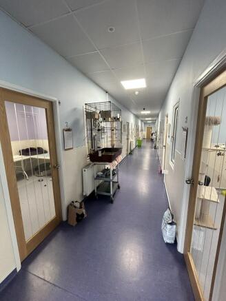 Units 1 ¿ 3 Premier Cats Hotel