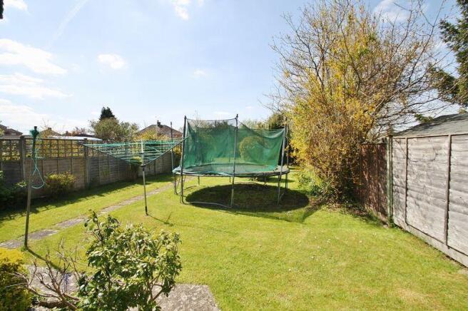 Back garden 