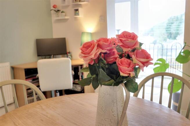 Roses Close.jpg