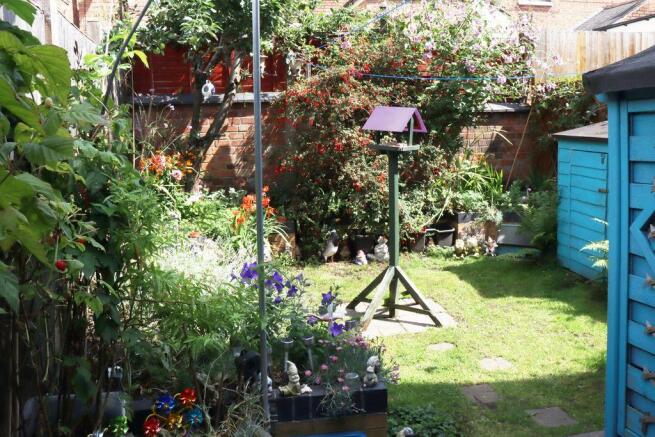 Garden at Back