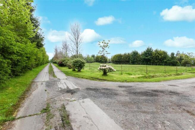 Drive/Gardens