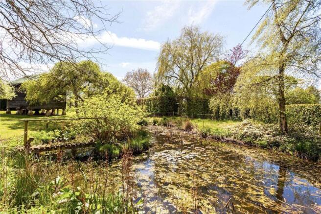 Pond