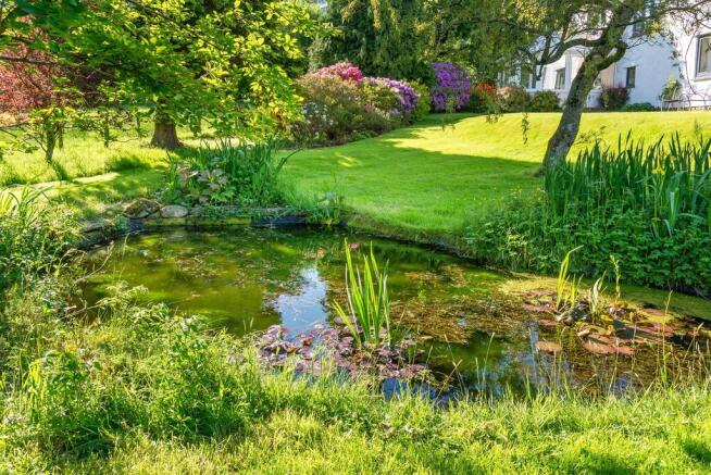 Garden Pond