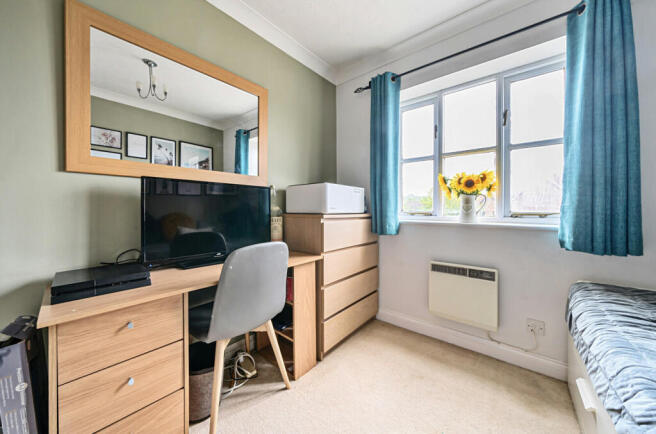1176241 (15).jpg