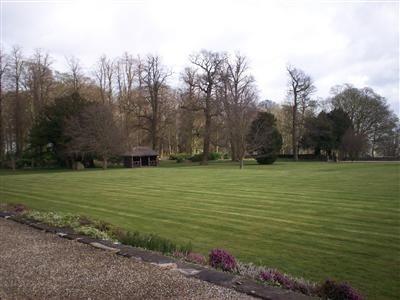 Side Lawn