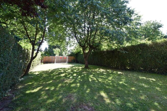 Back Garden