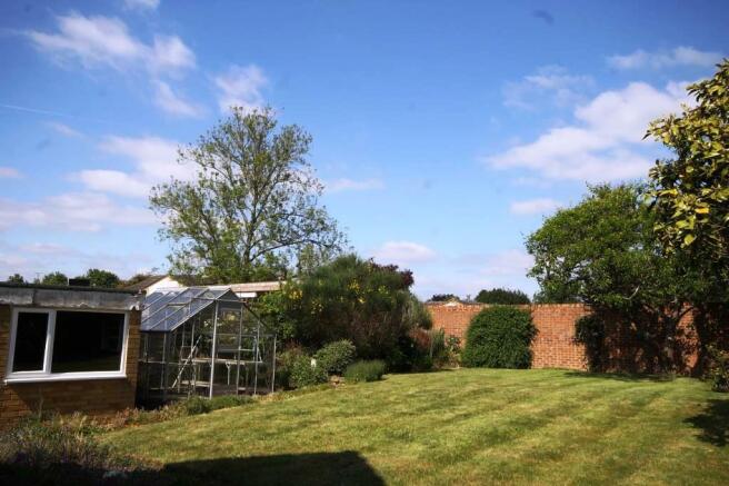 .garden.JPG