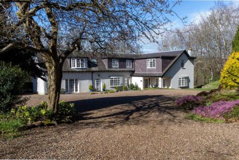 The Spinney House, Lodges & Paddock, Jedburgh, TD8
