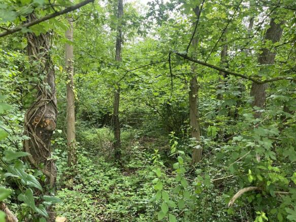 Photo 09-06-2025, 4 20 19 PM.jpg