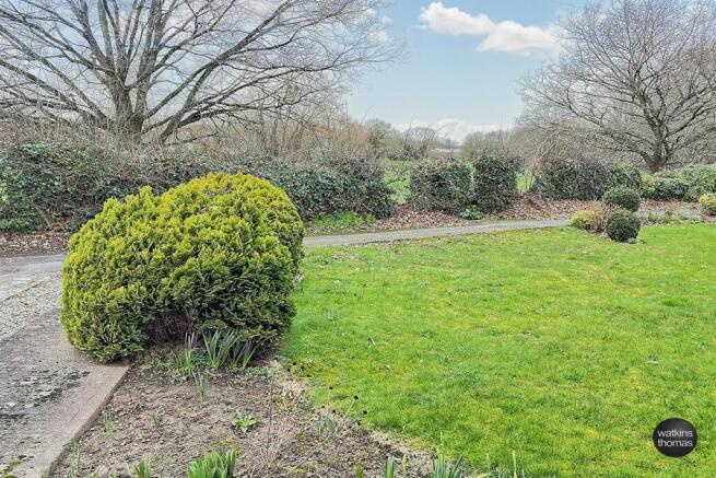 front garden