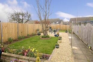 Garden Photo 1