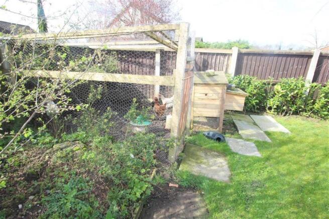 Chicken Pen