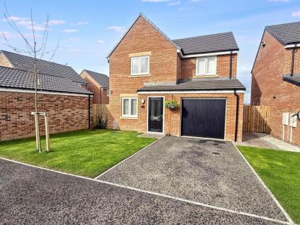Aster Gardens, West Meadows, Cramlington, Northumberland, NE23 8FW