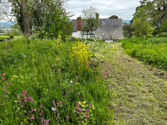 Summer Gardens