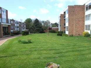 Communal Gardens