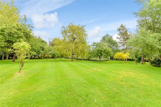 Lawn