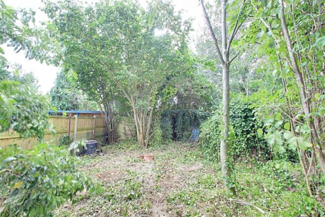 Garden 2.jpg