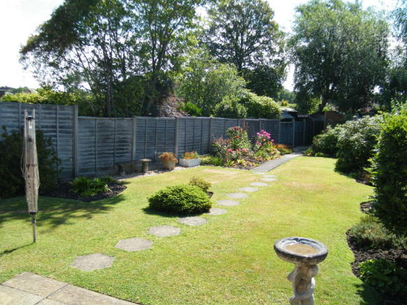 Photo 11