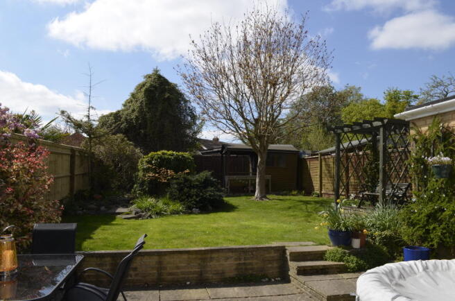 Photo 11