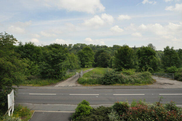Photo 15