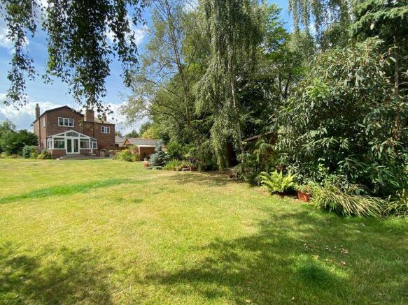 Garden at Back