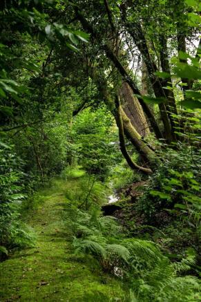 Photo 44