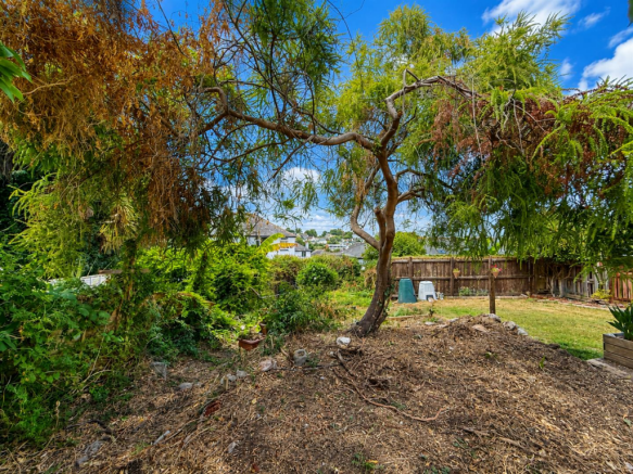 Rear Garden.png