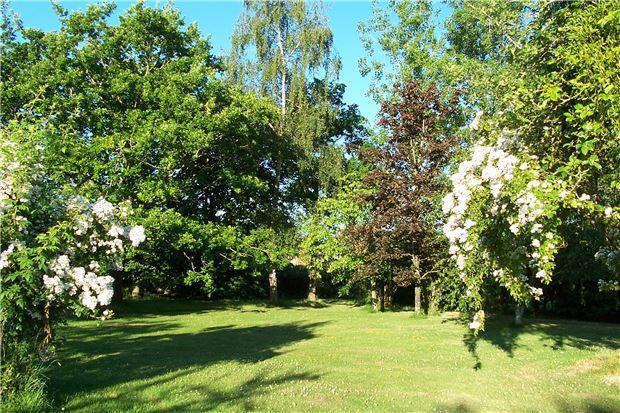Garden in Bloom