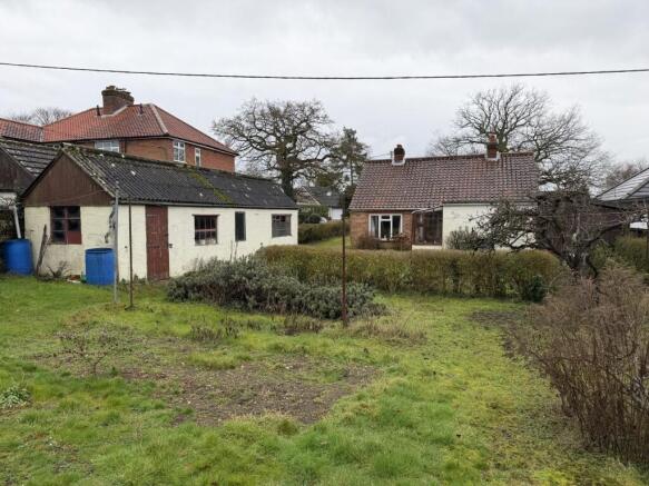 2  Medium  T202602191037.jpg