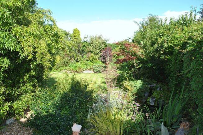 Rear garden