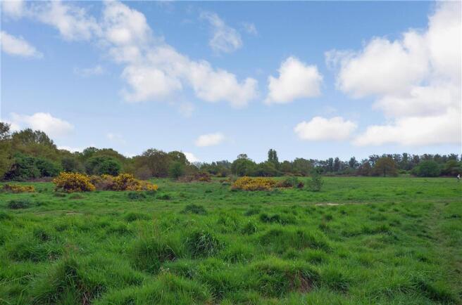 Surrounding Area