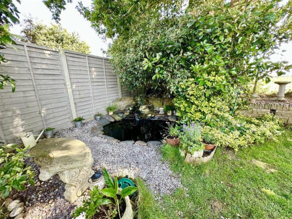 pond