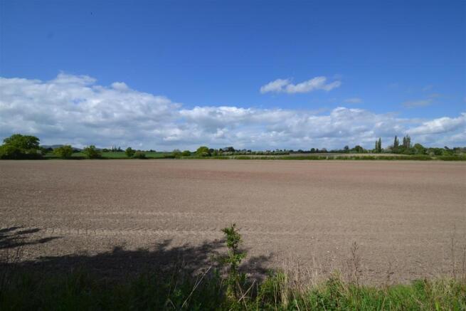 View to Hook Bank