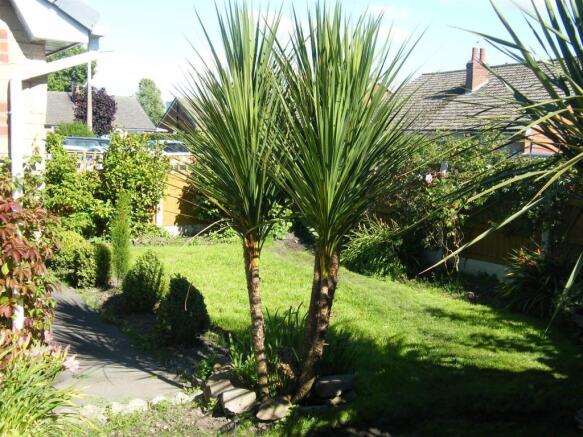Garden1
