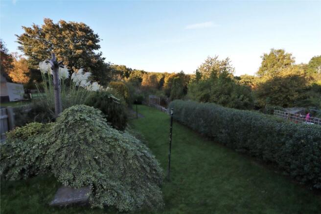 Garden Pic 2