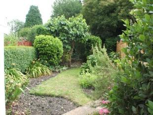 Garden 2
