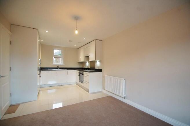 Kitchen / Living Roo