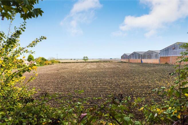 Field Views