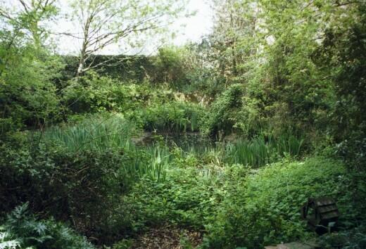 Pond Area