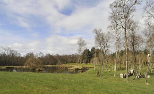 Pond