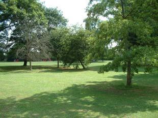 View to front