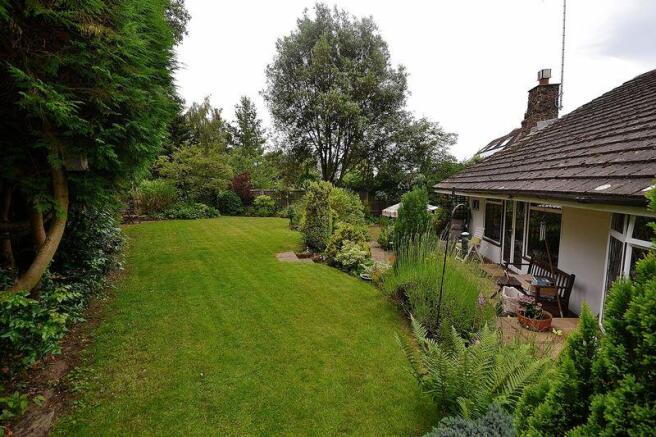 Garden 2