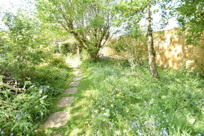Woodland Garden