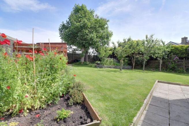 Garden at Back