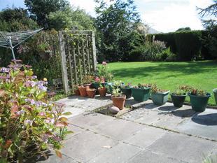 Image 04