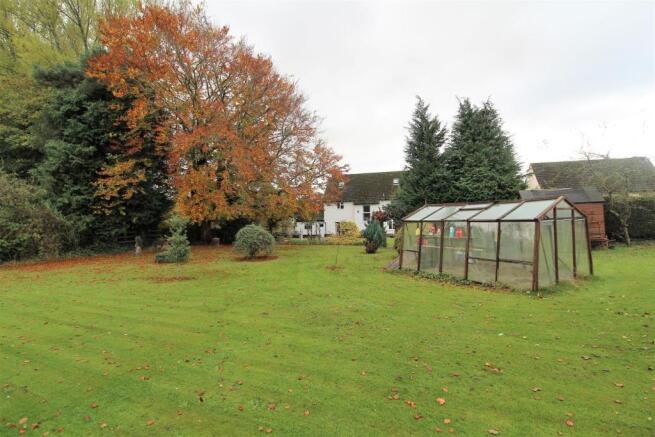 garden 3.JPG