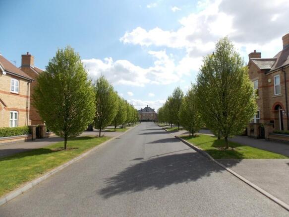 Tree Lined Avenue
