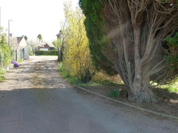 Photo 13